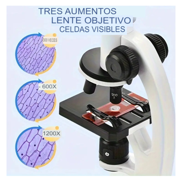 1715280080012-6 Kit Microscopio Compuesto Luz 100x-450x