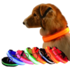 17429605961-1 Collar Luminoso LED Recargable