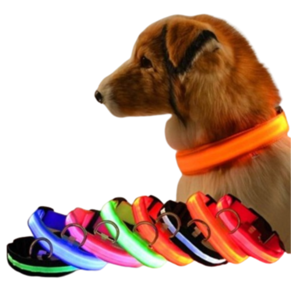 17429605961-1 Collar Luminoso LED Recargable