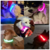 17429605961-4 Collar Luminoso LED Recargable