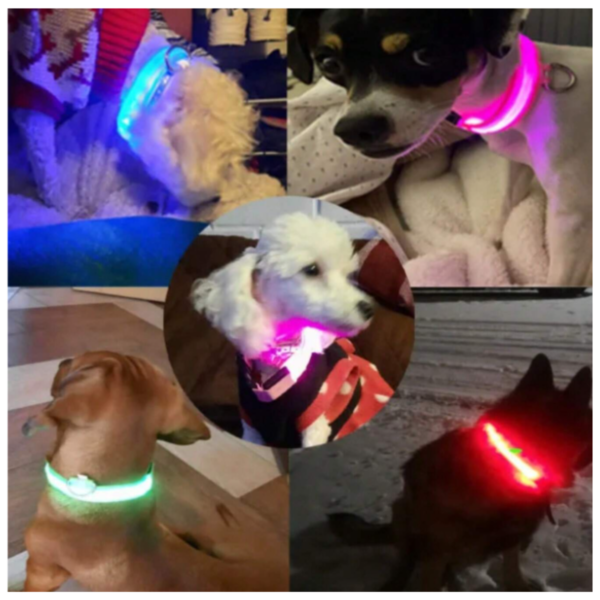 17429605961-4 Collar Luminoso LED Recargable