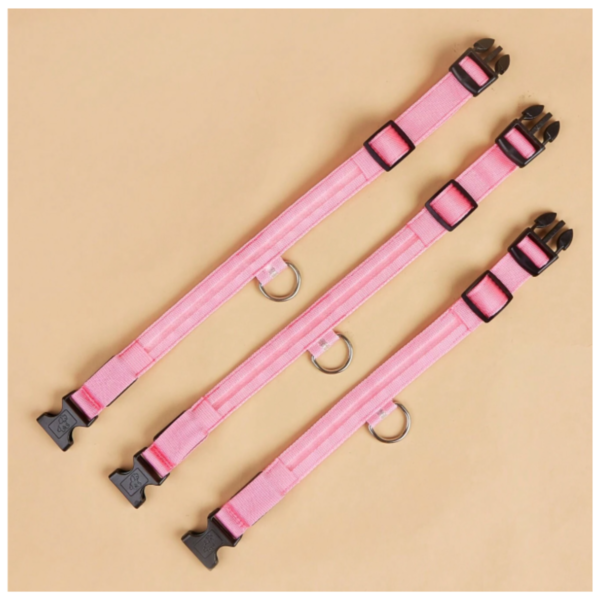 17429605961-5 Collar Luminoso LED Recargable
