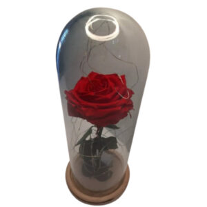 Rosa Larga Luces LED + Cúpula de Cristal